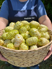 Noni Juice